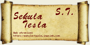 Sekula Tesla vizit kartica